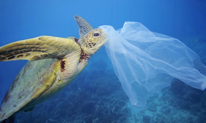 Le spiagge #plasticfree e contro l'inquinamento da #plastica sono in tour