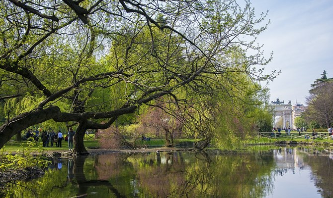 Sono 3 le città italiane tra i pionieri del programma “Tree Cities of the World” 