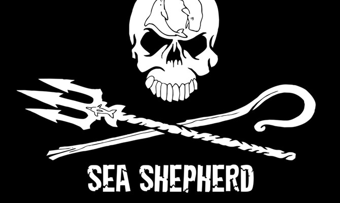 In difesa degli oceani con Sea Shepherd, Lions e CRI, Jesolo 16 giugno 2018