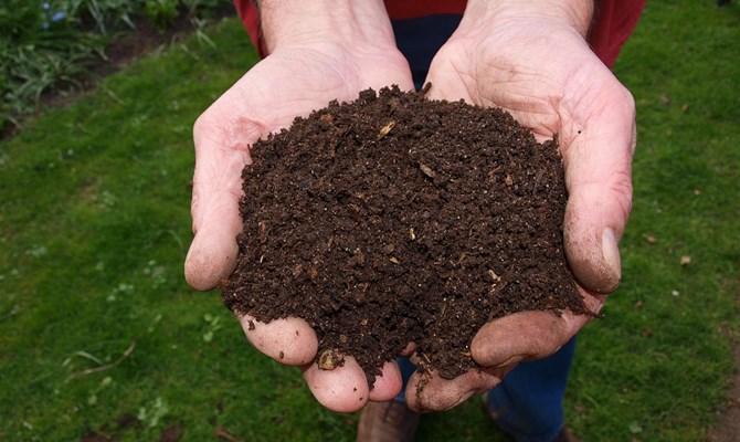 Quali sono i vantaggi dei prodotti compostabili? Ecco le risposte 